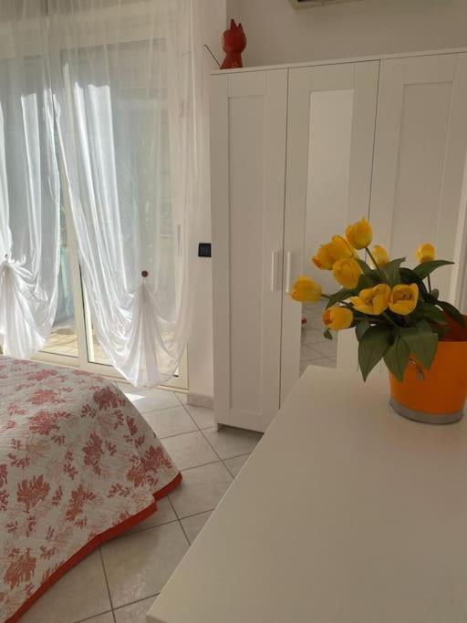 Tittihome * Sanremo